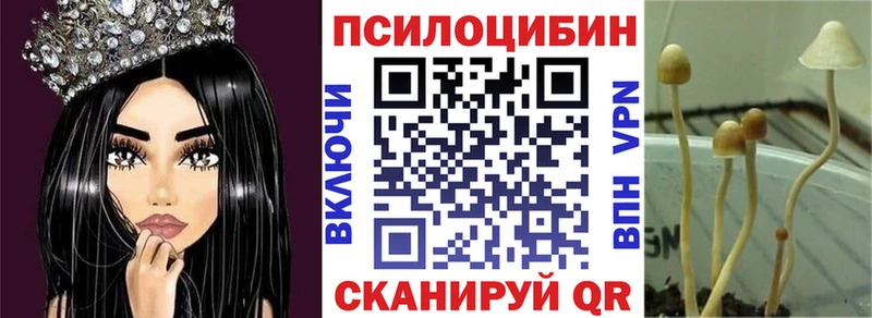 Псилоцибиновые грибы прущие грибы  как найти закладки  Новодвинск 