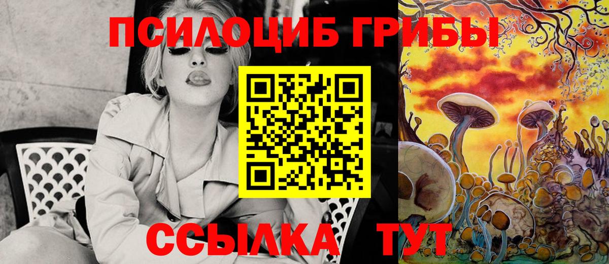 Псилоцибиновые грибы Psilocybe  что такое   Новодвинск  Вход с VPN  Псилоцибиновые грибы Psilocybe 